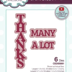 Creative Expressions Thanks Die